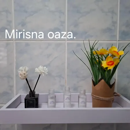 Apartment Amada