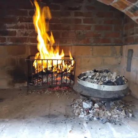 Amada